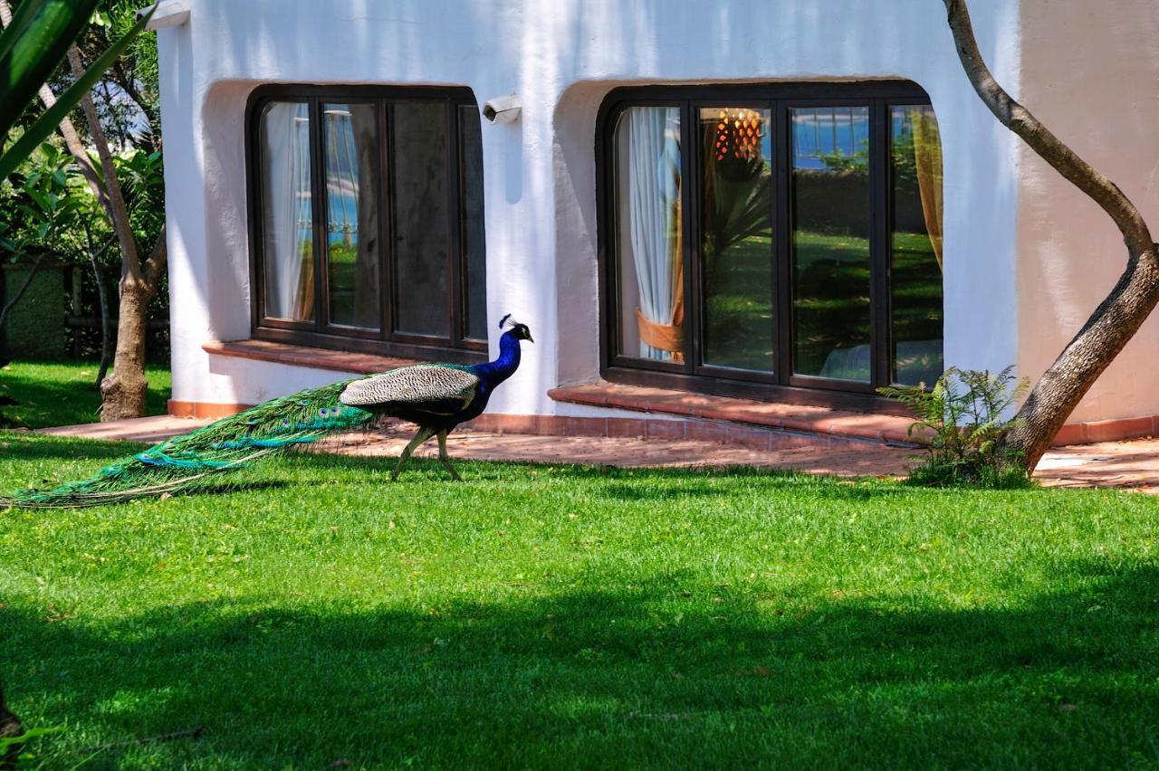 Arbatax Park Resort - Ville Del Parco Exteriör bild